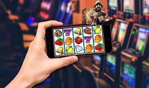 sunciti Cá cược thể thao