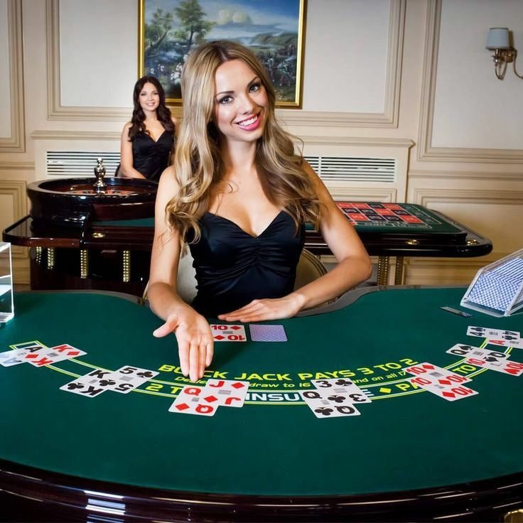 sunciti Live Casino
